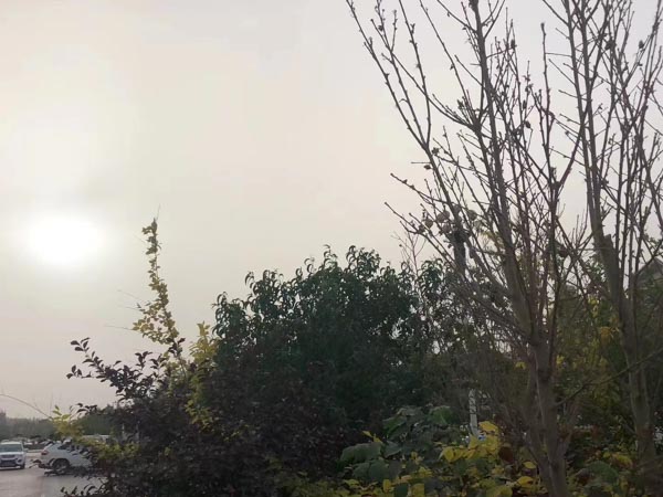 深圳離婚糾紛律師提醒：這些財產都屬于夫妻共同財產，要這么分割！